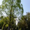 Memoriam-Garten Geldern